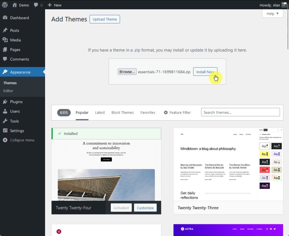 WordPress theme