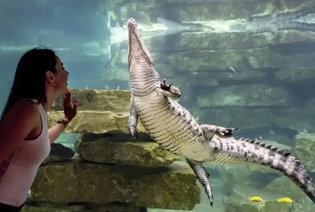 Things to Do in Dubai