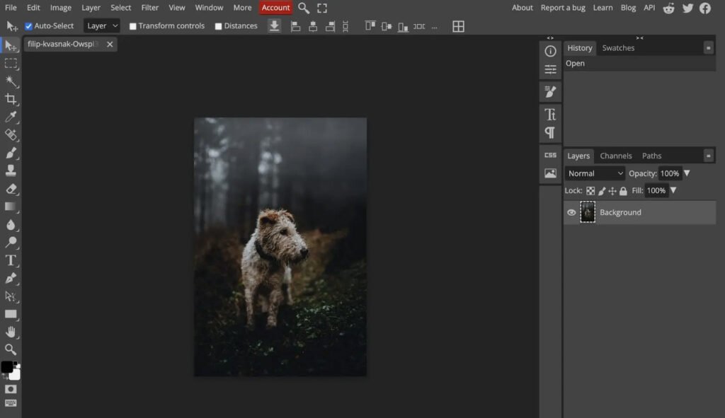 Photopea Best Content Creation Tools for Creators